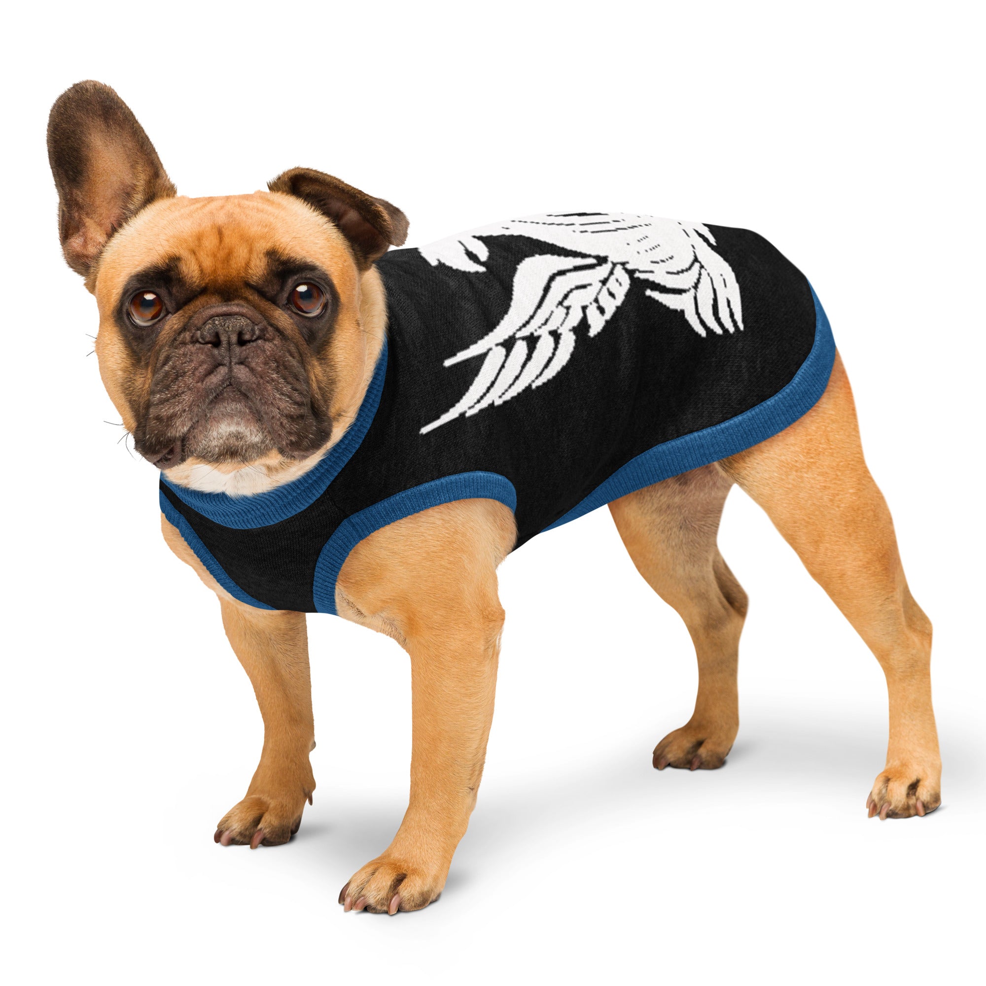 Uni Blacks Knitted Pet Sweater