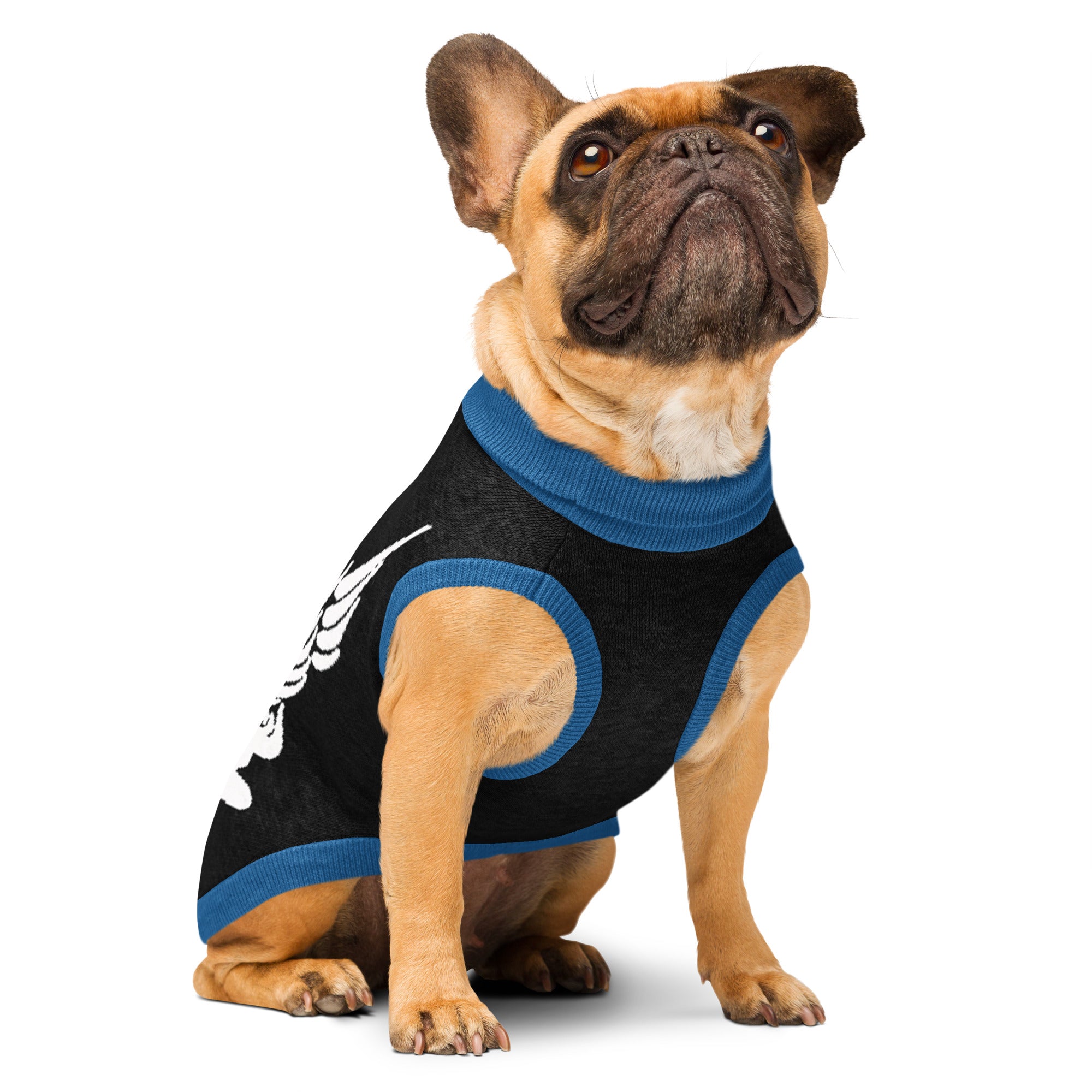 Uni Blacks Knitted Pet Sweater